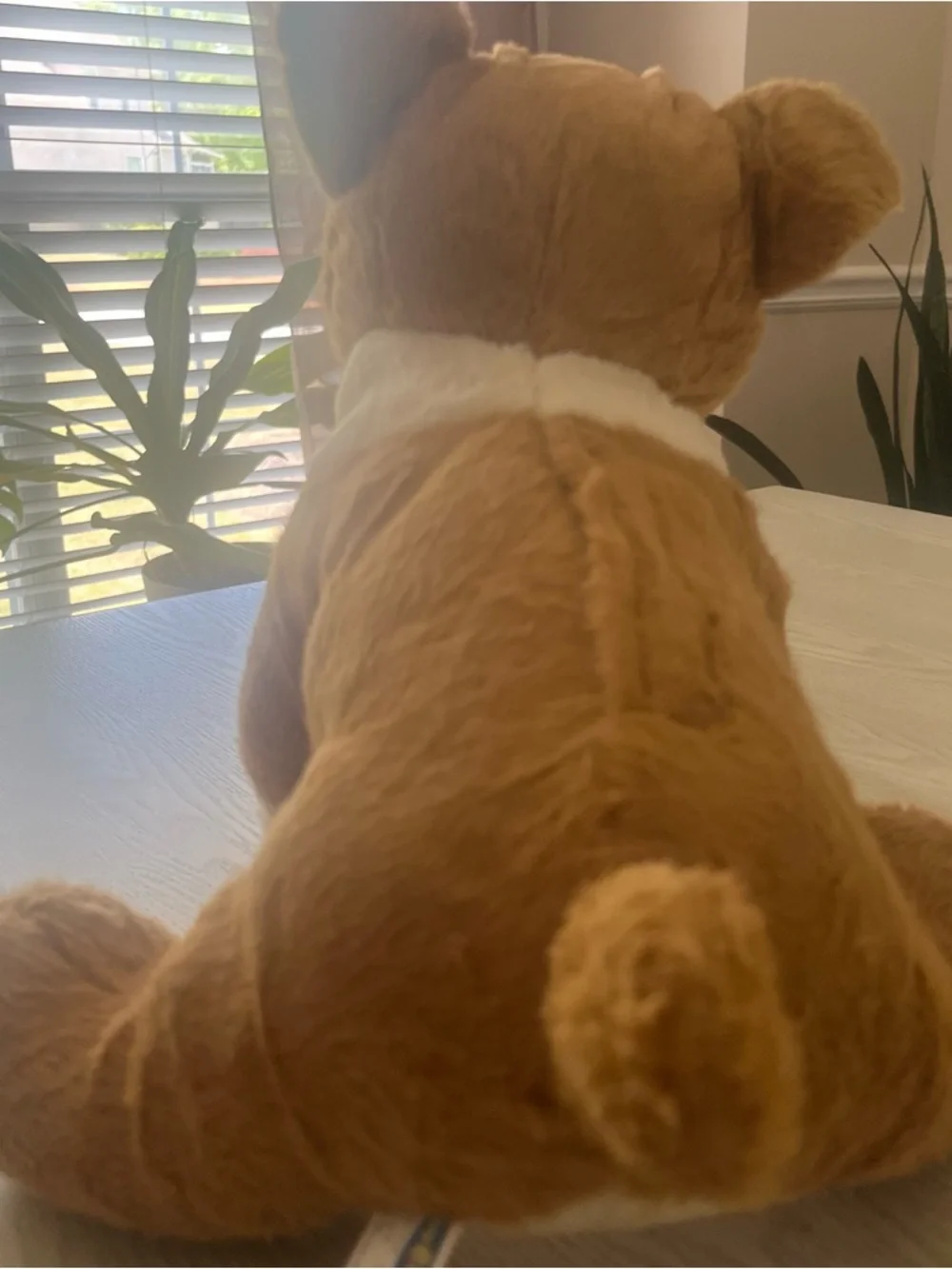 Teddy Mountain 16”‎ Plush Bull Dog w/Pumpkin Costume~DIY Birthday Craft